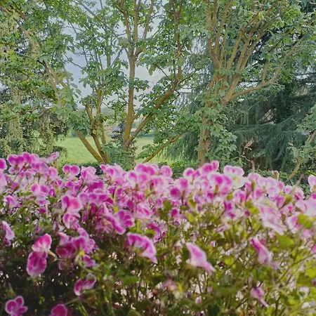 Chez Queen - Apartment Lurate Caccivio