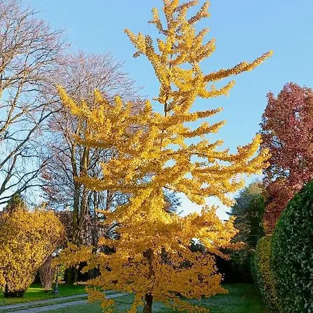 Chez Queen - Apartment Lurate Caccivio